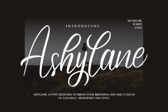 Ashylane Script: Blending Charm with Elegance in Your Designs