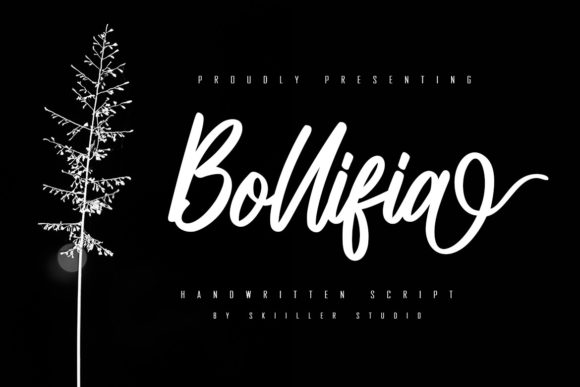 Bollifia Script: Elevate Your Designs with Timeless Elegance