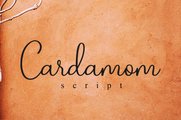 Cardamom Script: Elevate Your Brand with Timeless Typography