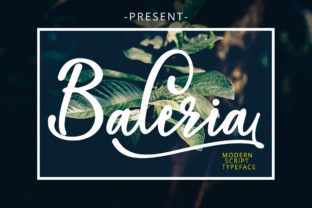 Discover Baleria Script: A Typeface That Feels Like a Personal Note