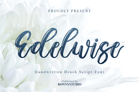 Edelwise Script: A Font for Brands That Want to Feel Human