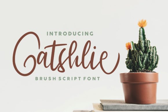 Gatshlie Script: A Font with Flow and Character