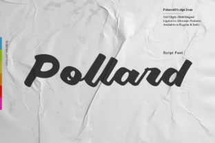 Pollard Script: Bold Charm for Modern Branding