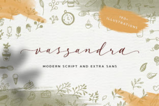 Why Vassandra Script Feels Like a Love Letter to Modern Branding